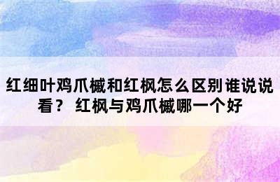 红细叶鸡爪槭和红枫怎么区别谁说说看？ 红枫与鸡爪槭哪一个好